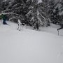 Tag 2 Sonntag von Obernberg Richtung Leitnerberg, Umkehr 200hm unter Gipfel wegen Sturm, dafür Zusatztour im windstillen Fichtenwald, Neu/Pulverschnee, Schneefall