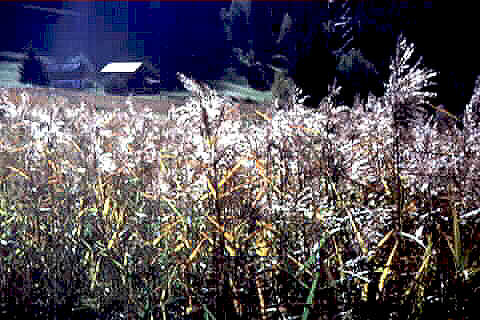 Bild 12 (300x200 {480x320} Pixel / 31,5 kByte)