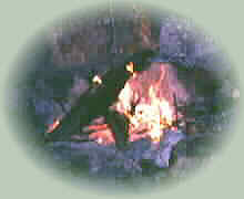 Bild 1a (160x120 {220x180} Pixel /
 4,2 kByte)